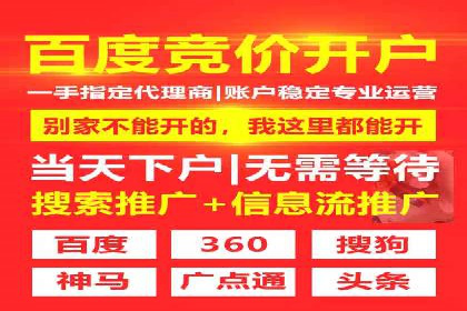 百度优化推广案例：打造高转化率网站